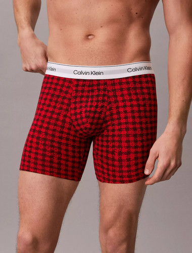 Boxer briefs calvin klein - briefs,